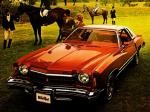 Chevrolet Monte Carlo Landau Coupe 1975 года
